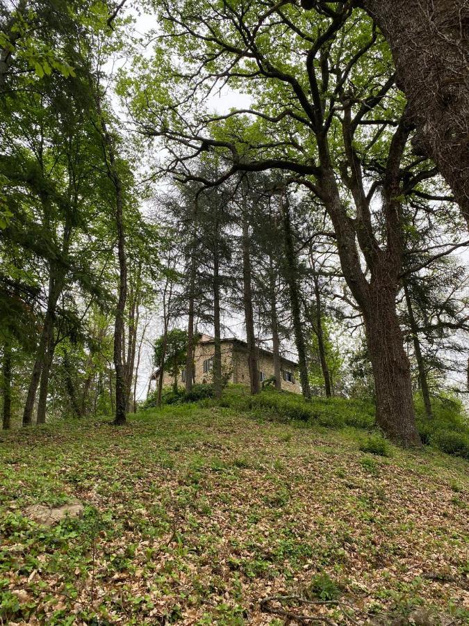 Naturemugello Oasi Naturista Dicomano Exterior foto